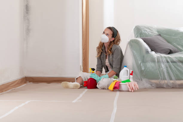 Reliable Mold Cleanup contractor in Lemont, IL by WQB Mold Removal
